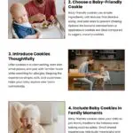 5 Steps to Safe Cookie Introduction Infographic