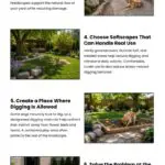 8 Landscape Fixes for Dog Digging 8 Landscape Fixes for Dog Digging Infographic