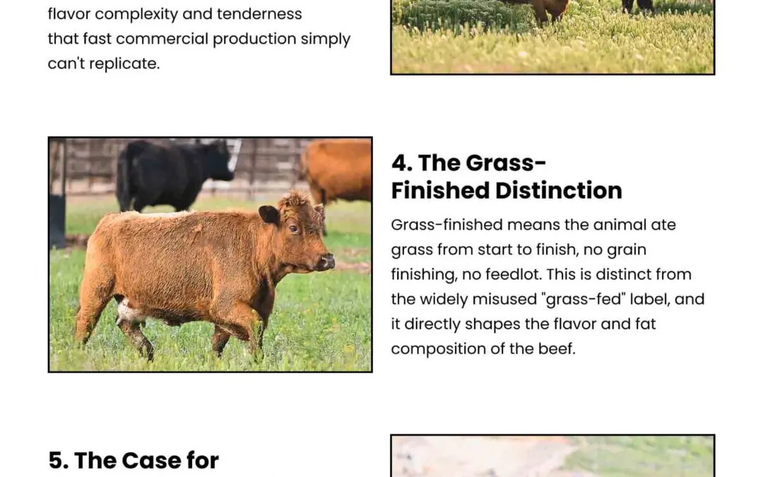 7 Key Reasons Heritage Beef Belongs in a Premium Kitchen