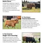 7 Key Reasons Heritage Beef Belongs in a Premium Kitchen 7 Key Reasons Heritage Beef Belongs in a Premium Kitchen Infographic