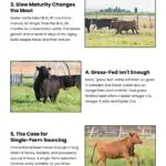 7 Reasons Dexter Beef Stands Out 7 Reasons Dexter Beef Stands Out Infographic