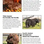 5 Tips for Better Grass-Fed Beef Burgers Infographic