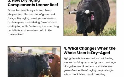 6 Ways Dry Aging Improves Grass-Finished Beef