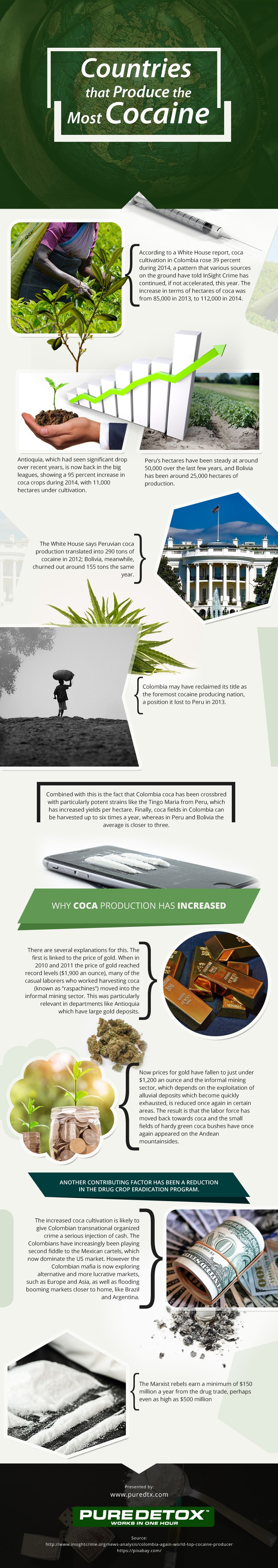 Countries-that-Produce-the-Most-Cocaine Infographic