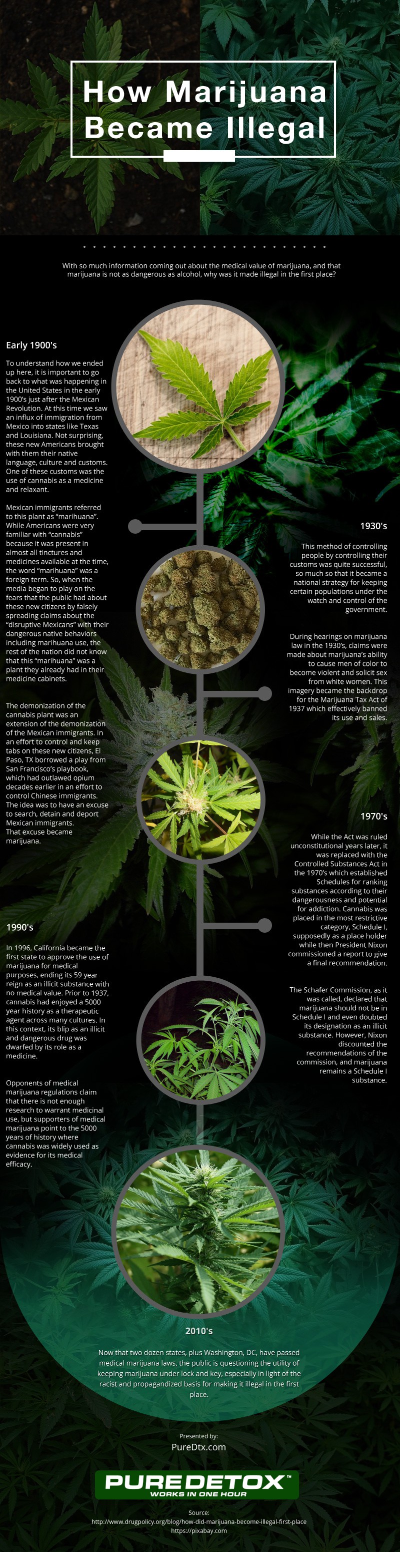 How-Marijuana-Became-Illegal Infographic