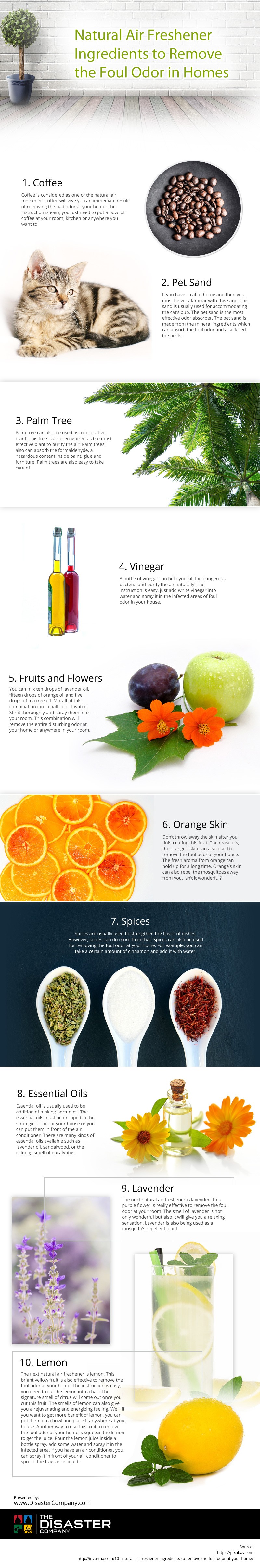 Natural-Air-Freshener-Ingredients-to-Remove-the-Foul-Odor-in-Homes Infographic