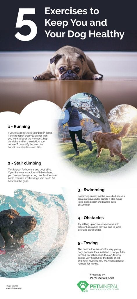 5 Exercises to Keep You and Your Dog Healthy Infographic