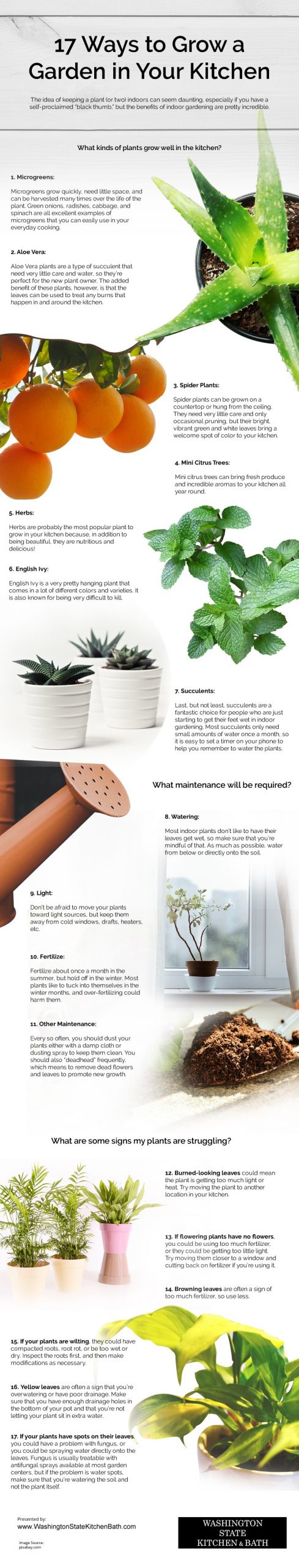 17 Ways to Grow a Garden in Your Kitchen Infographic