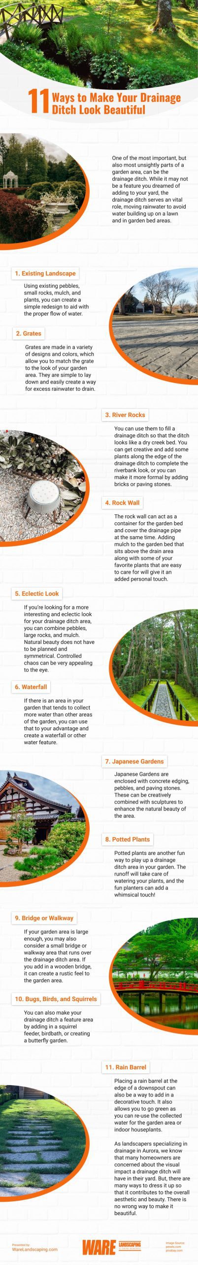 11 Ways to Make Your Drainage Ditch Look Beautiful Infographic