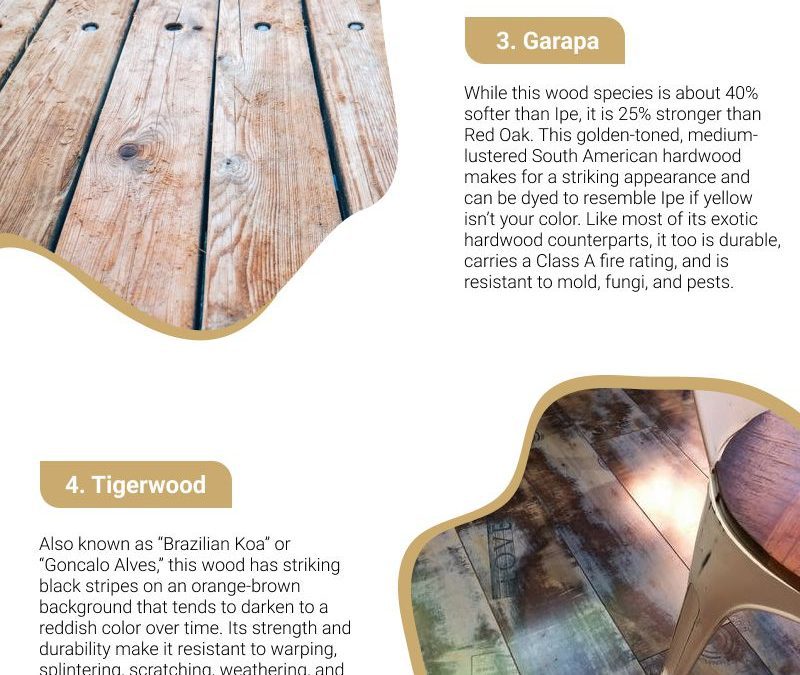 6 Popular Exotic Wood Species For Your Home