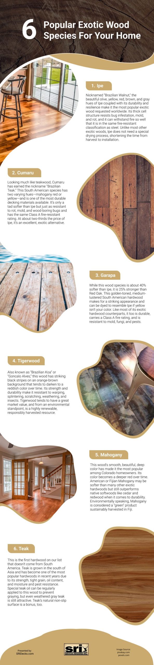6 Popular Exotic Wood Species For Your Home Infographic