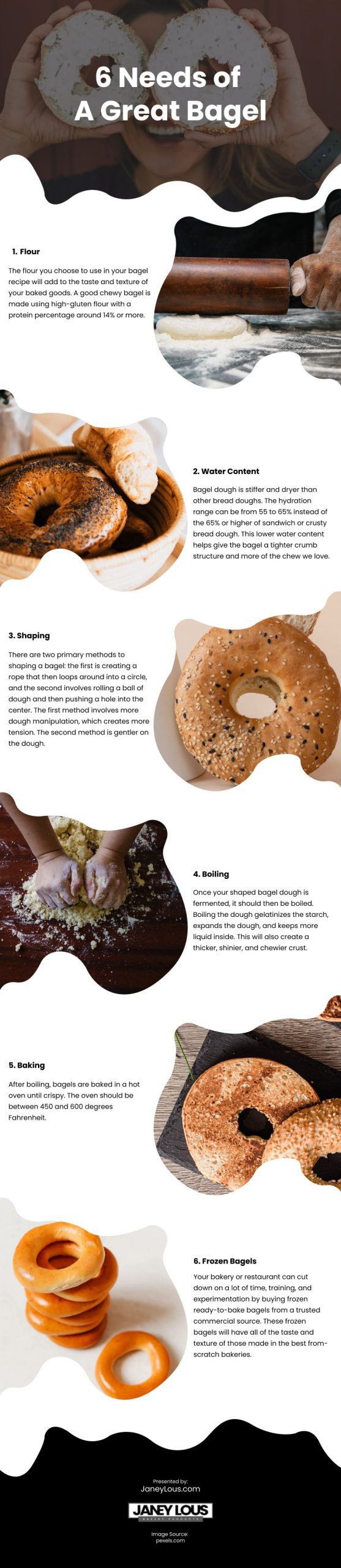 6 Needs of A Great Bagel Infographic