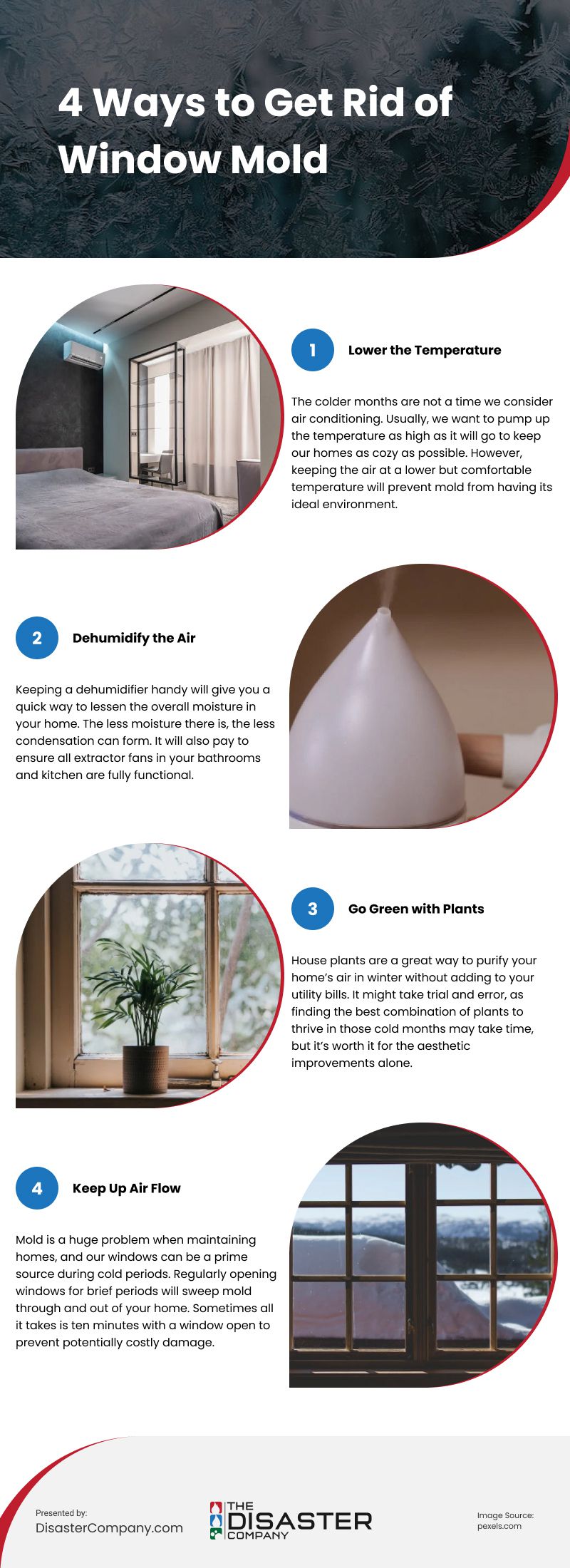 4 Ways to Get Rid of Window Mold Infographic