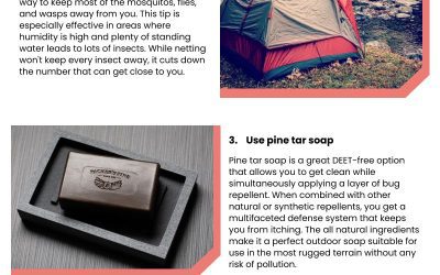 5 Camping Tips to Keep Bugs Away