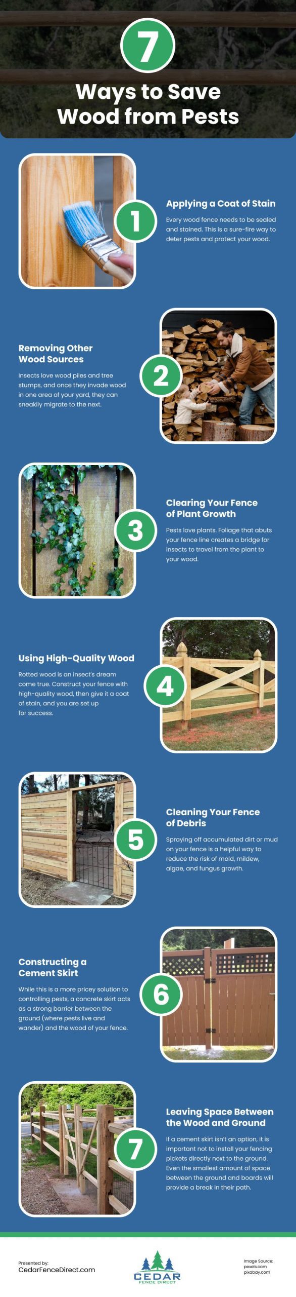 7 Ways to Save Wood from Pests Infographic