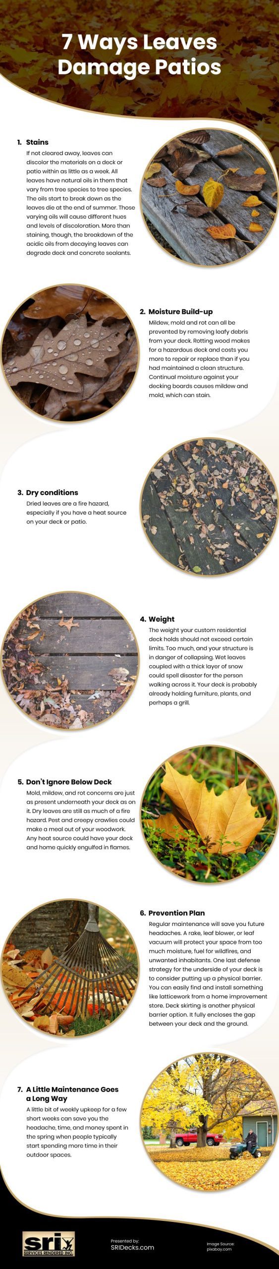 7 Ways Leaves Damage Patios Infographic