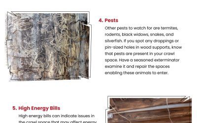 8 Signs Your Crawl Space Needs Repair
