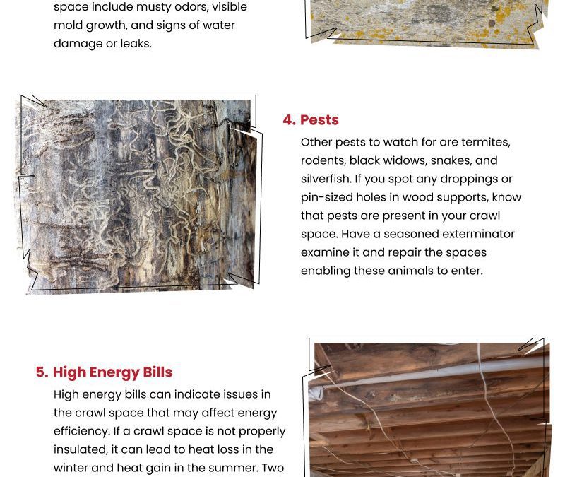 8 Signs Your Crawl Space Needs Repair