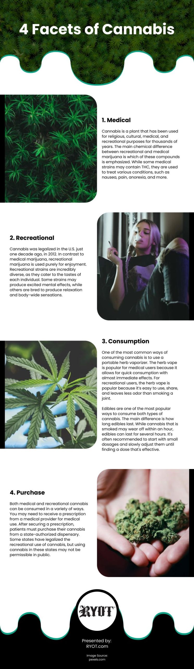 4 Facets of Cannabis Infographic