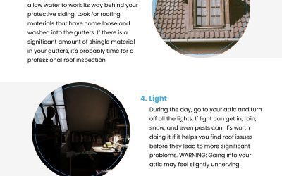 7 Signs of Roof Damage