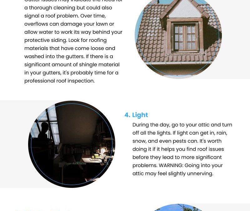 7 Signs of Roof Damage