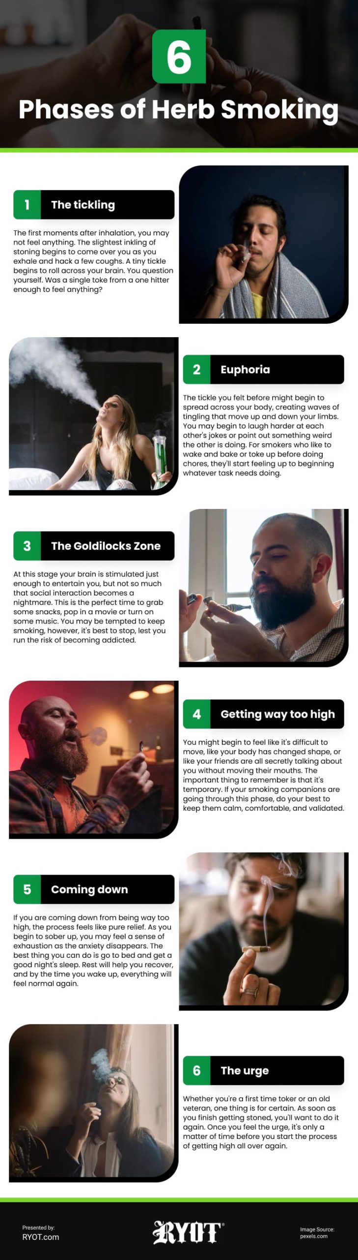 6 Phases of Herb Smoking Infographic