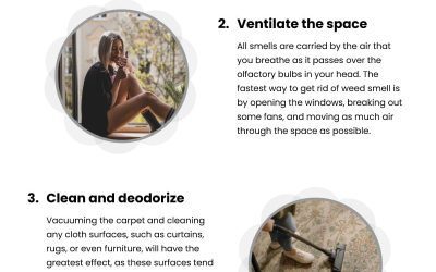 4 Tips to Clear Cannabis Smell