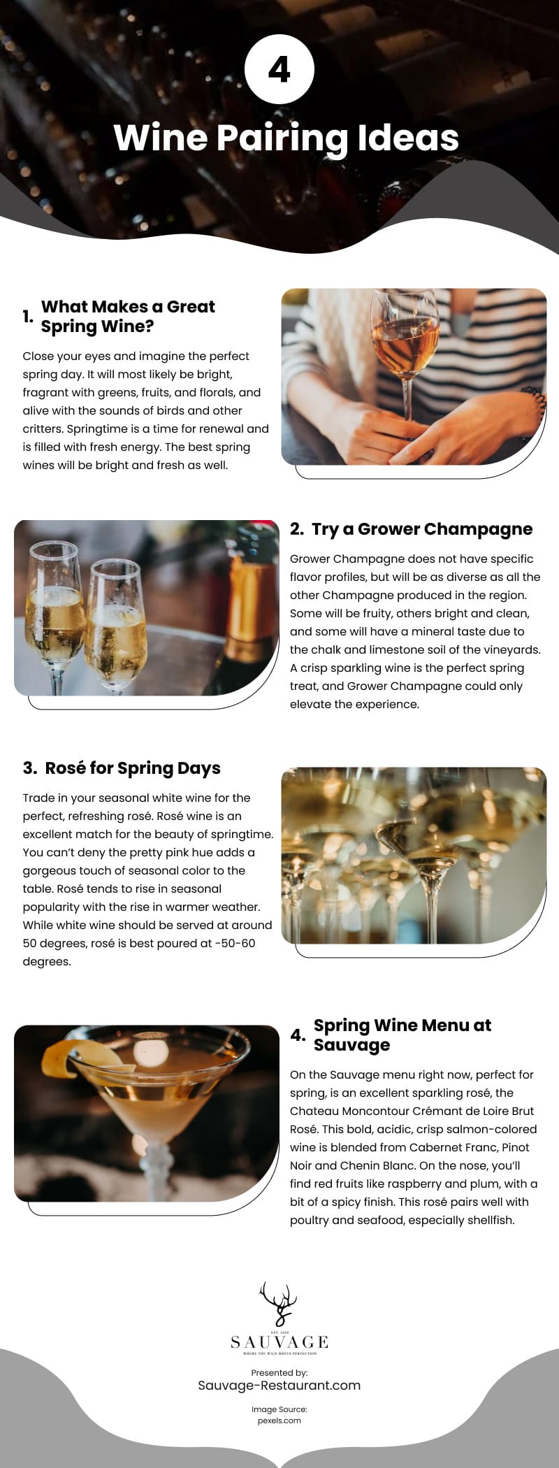 4 Wine Pairing Ideas Infographic