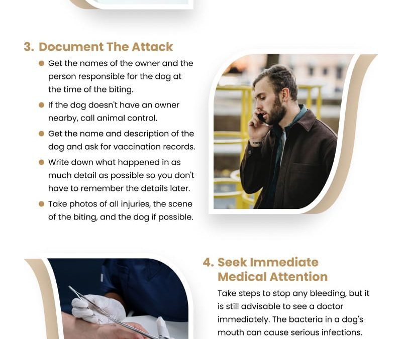 6 Tips on Dog Bite Injuries