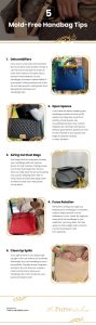 5 Mold-Free Handbag Tips Infographic