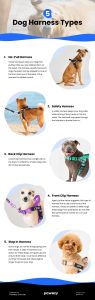 5 Dog Harness Types Infographic
