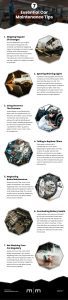 7 Essential Car Maintenance Tips Infographic
