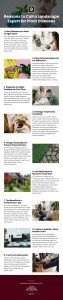 9 Reasons to Call a Landscape Expert for Plant Diseases Infographic