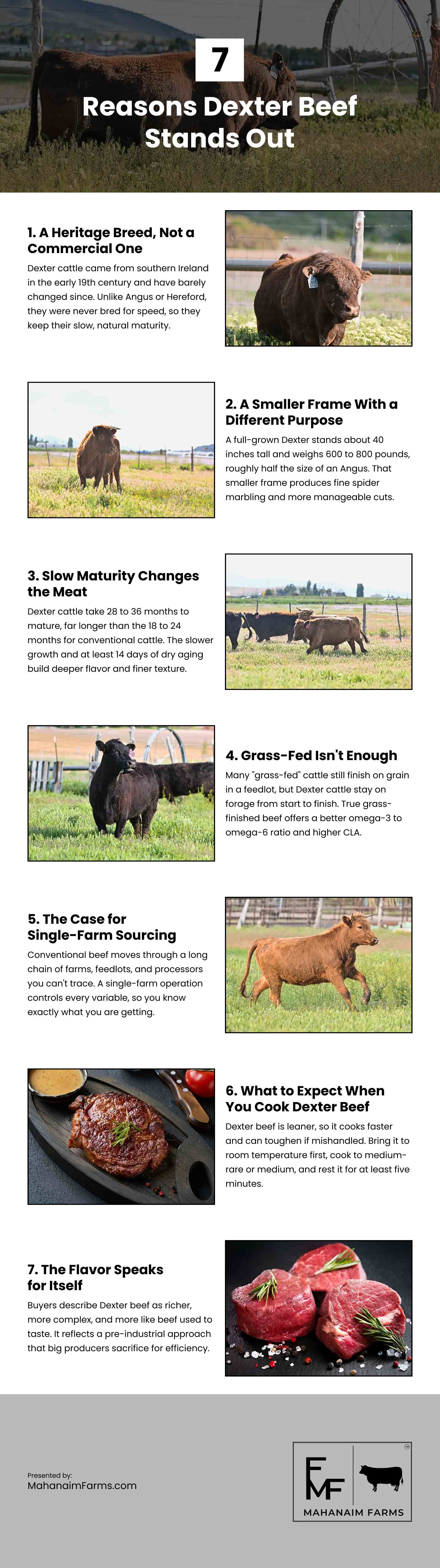 7 Reasons Dexter Beef Stands Out Infographic 7 Reasons Dexter Beef Stands Out Infographic