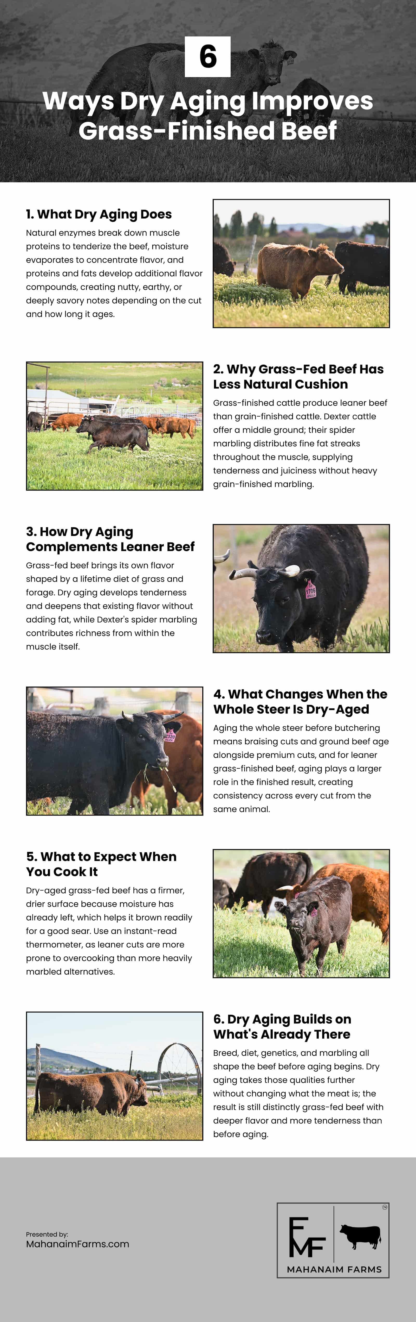 6 Ways Dry Aging Improves Grass-Finished Beef Infographic 6 Ways Dry Aging Improves Grass-Finished Beef Infographic